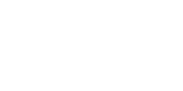 MasterCard partner logo