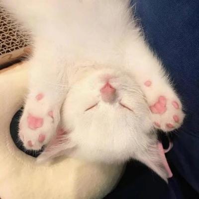 ซันนี่ สุวรรณเมธานนท์ avatar